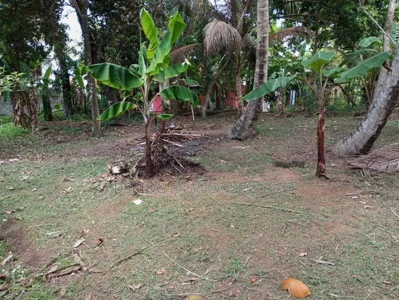 Land for Sale in Kadawatha