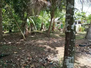 Land for Sale in Kadawatha