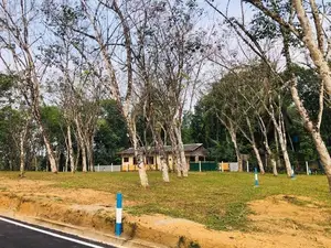 Land for sale in Horana