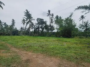 Land for Sale Ja Ela
