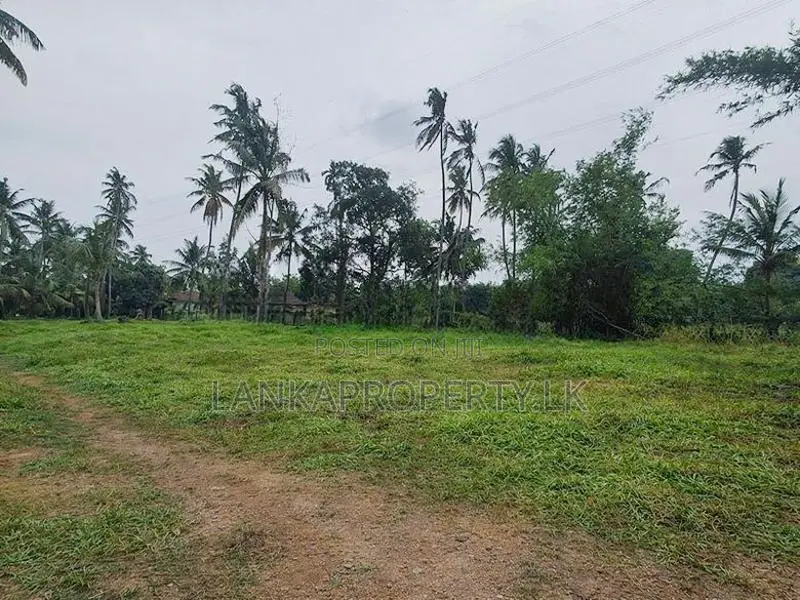 Land for Sale Ja Ela