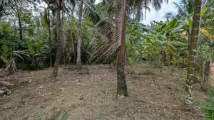 Land for Sale in Urapola