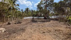 Land for Sale in Giriulla