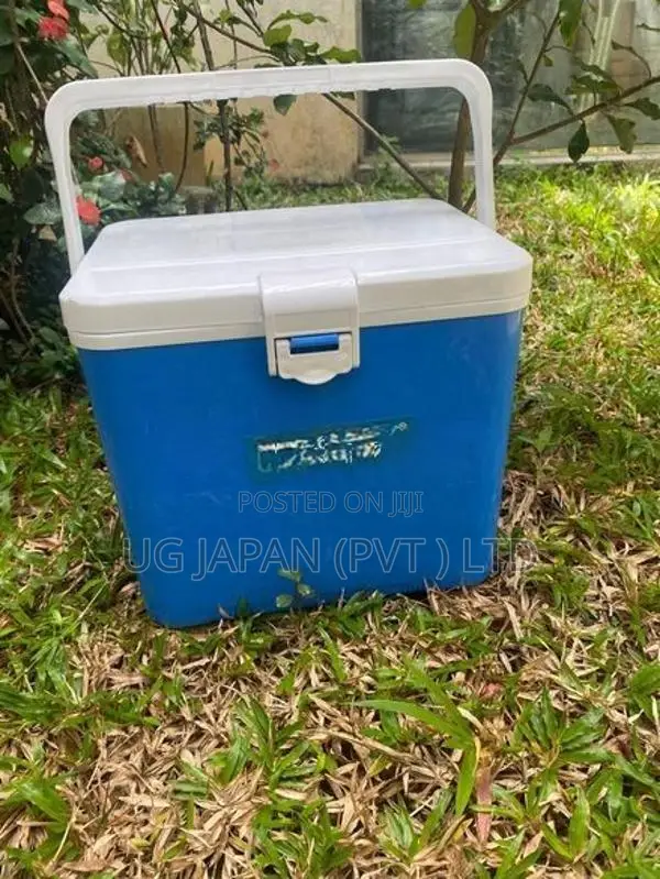 COOLER BOX 6L