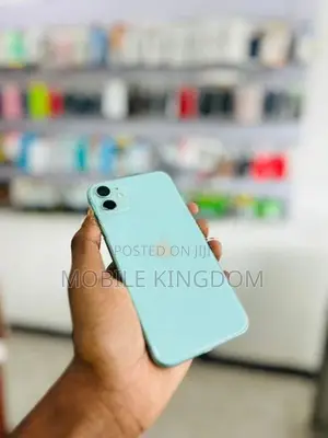 Apple iPhone 11 256GB Green Fullset (Used)