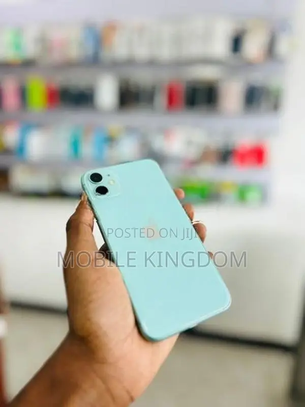 Apple iPhone 11 256GB Green Fullset (Used)