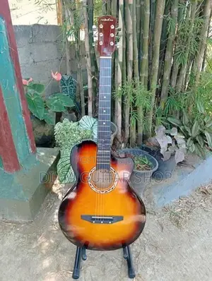 ගිටාර්