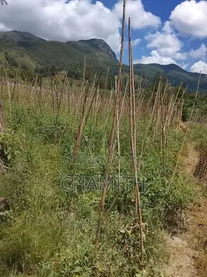 Land for Sale Welimada