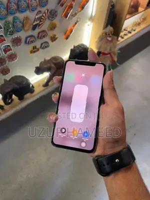 Apple iPhone X (Used)