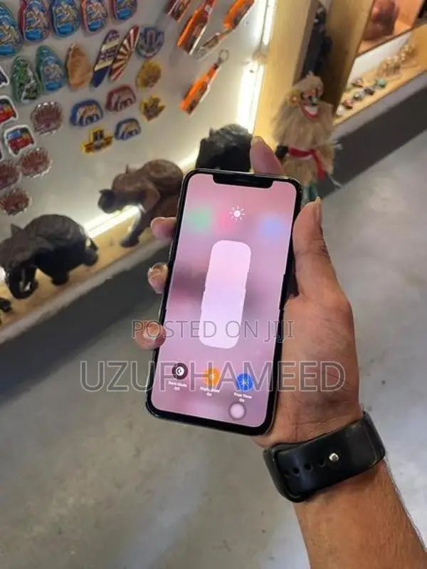 Apple iPhone X (Used)