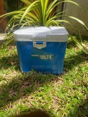 COOLER BOX 6L