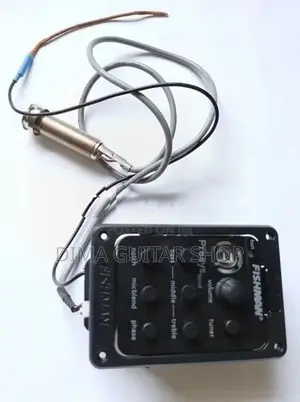 ගිටාර් පිකප් යුනිට්