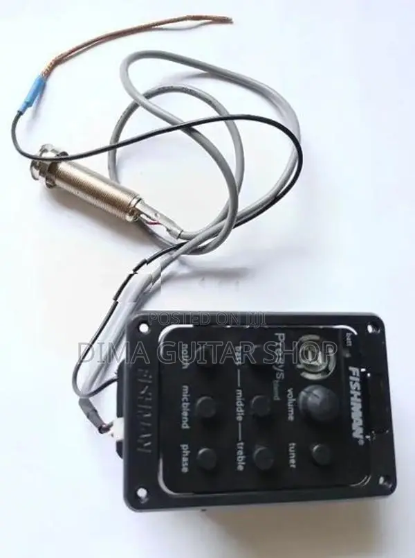 ගිටාර් පිකප් යුනිට්