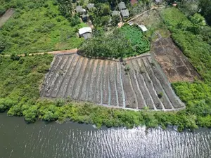 Panadura - Hirana Ecotourism Agriculture Purpose Land Plot Sale