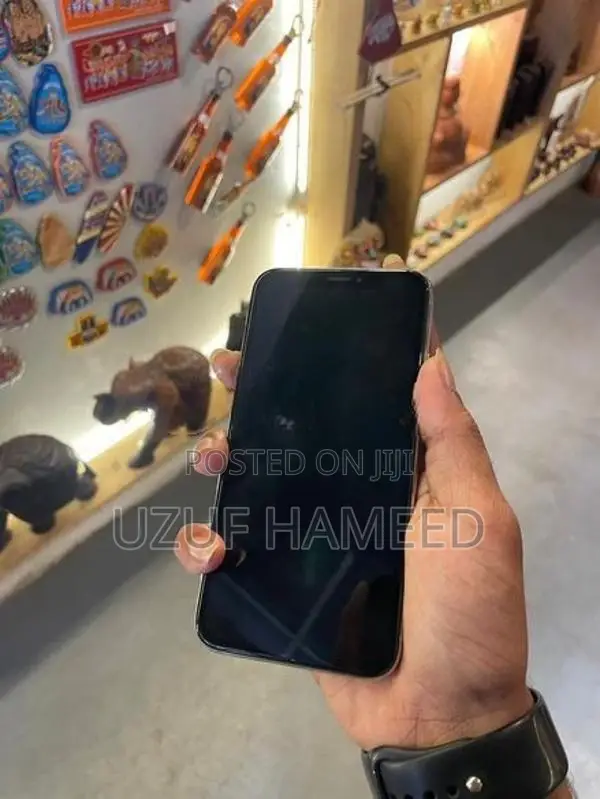 Apple iPhone X (Used)