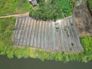 Panadura - Hirana Ecotourism Agriculture Purpose Land Plot Sale