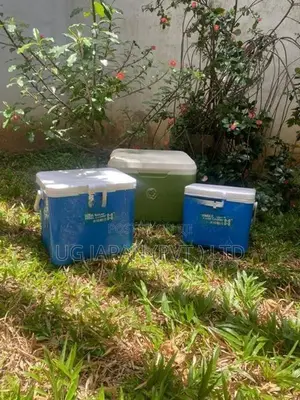 COOL BOX 10L