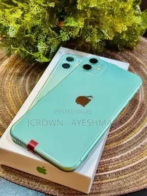 Apple iPhone 11 64GB (Used)