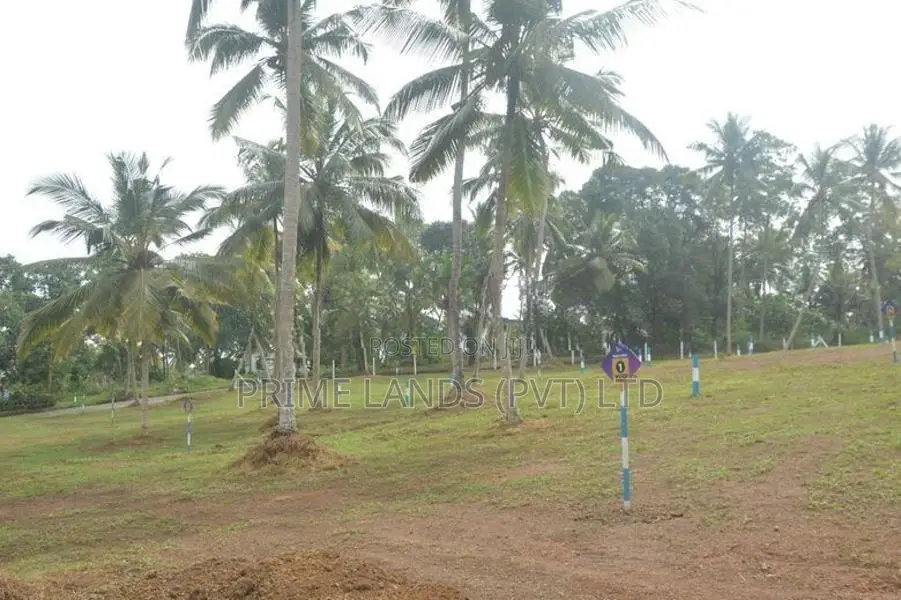 Valuable Land Plots Moratuwa