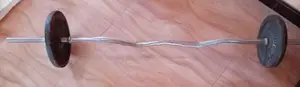 Curl Bar with Weight Plate