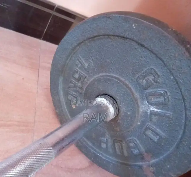 Curl Bar with Weight Plate