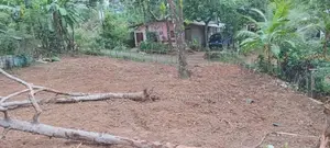 පාදුක්ක මීරියගල්ලෙන් ඉඩමක් විකිණිමට