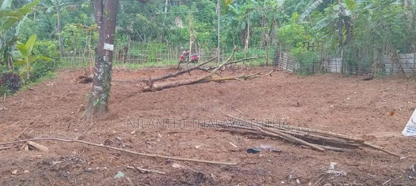 පාදුක්ක මීරියගල්ලෙන් ඉඩමක් විකිණිමට