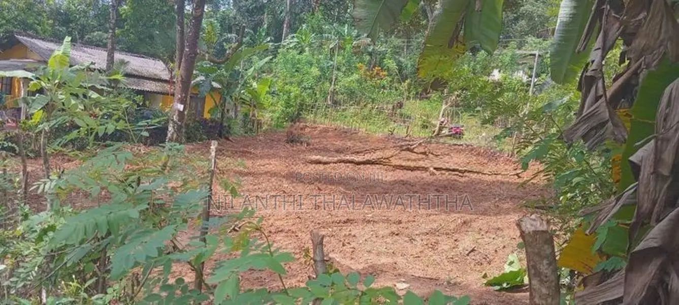 පාදුක්ක මීරියගල්ලෙන් ඉඩමක් විකිණිමට