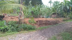 පාදුක්ක මීරියගල්ලෙන් ඉඩමක් විකිණිමට
