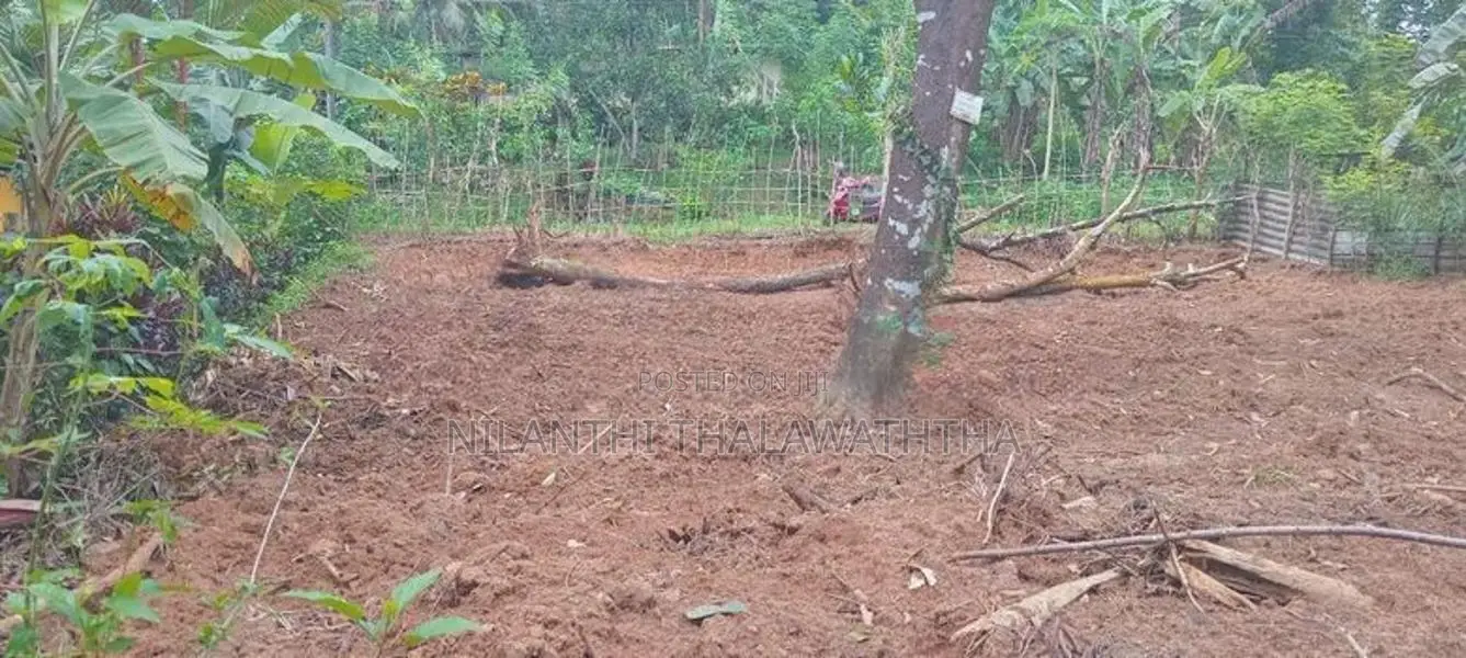 පාදුක්ක මීරියගල්ලෙන් ඉඩමක් විකිණිමට