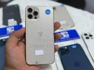 Apple iPhone 12 Pro 256GB (Used)