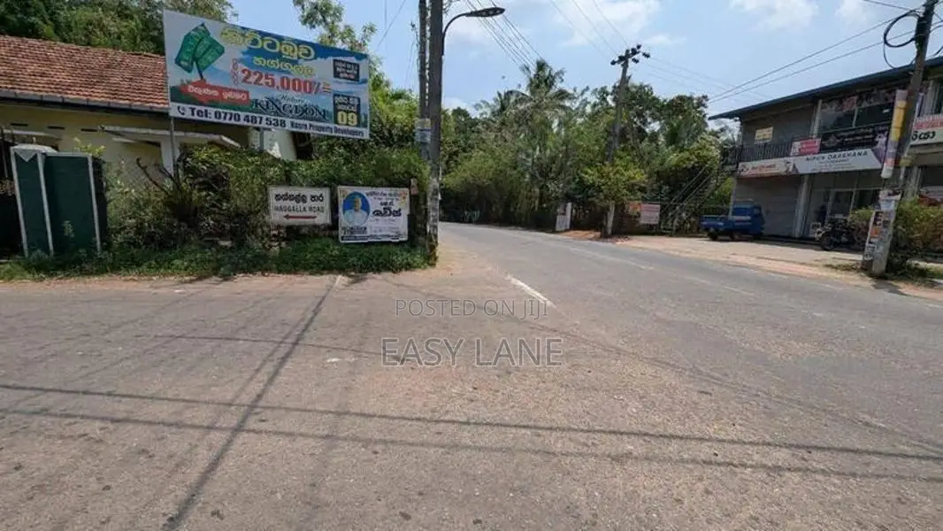 නිට්ටඹුව වල්පොලින් පොල් ඉඩමක්