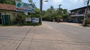 නිට්ටඹුව වල්පොලින් පොල් ඉඩමක්