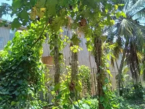 Commercial Purpose Bare Land For Sale in Seeduwa