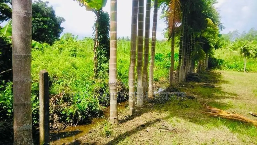 (PL596) 9.2 Perch Land for Sale in Boralesgamuwa