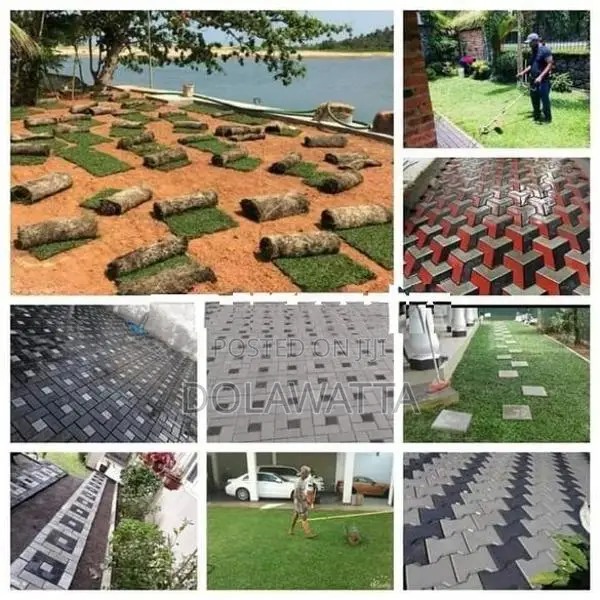 Malaysian Grass