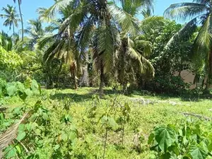 Commercial Purpose Bare Land For Sale in Seeduwa