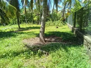 Commercial Purpose Bare Land For Sale in Seeduwa