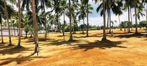 Land for Sale Thalagala