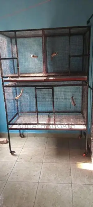 කුරුලු කූඩු