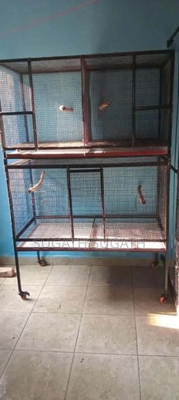 කුරුලු කූඩු