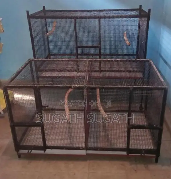 කුරුලු කූඩු