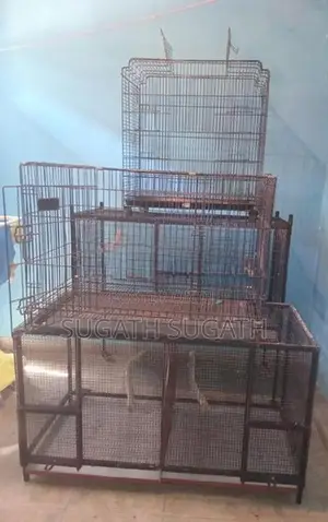 කුරුලු කූඩු
