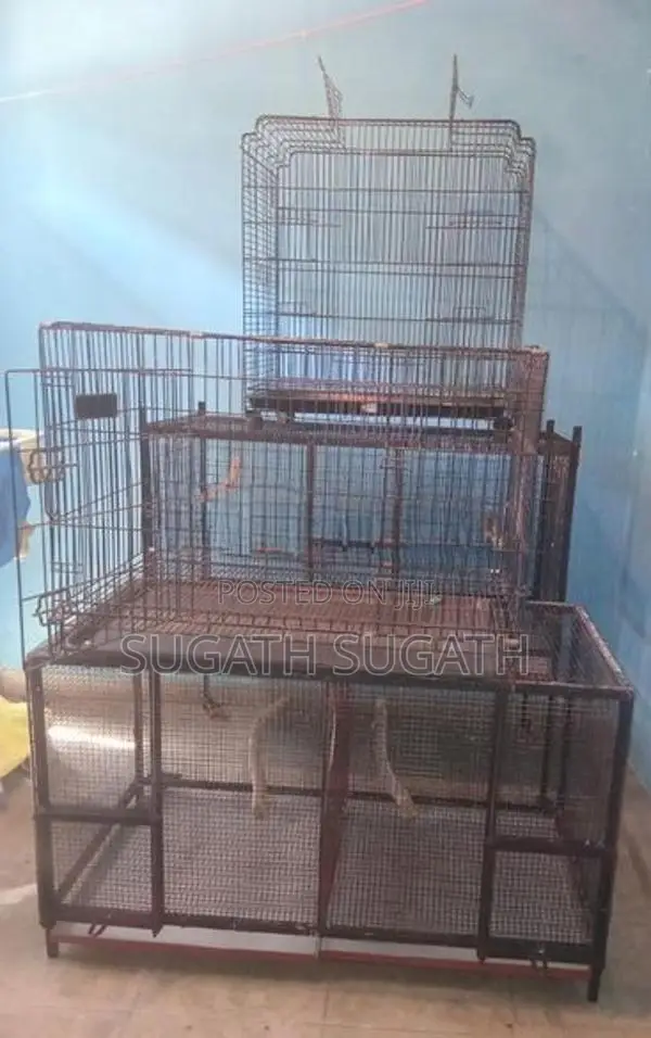 කුරුලු කූඩු
