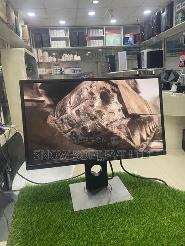 Dell 23 Inch IPS Monitor