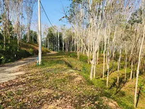 හබරාදුව බිම් කොටස්