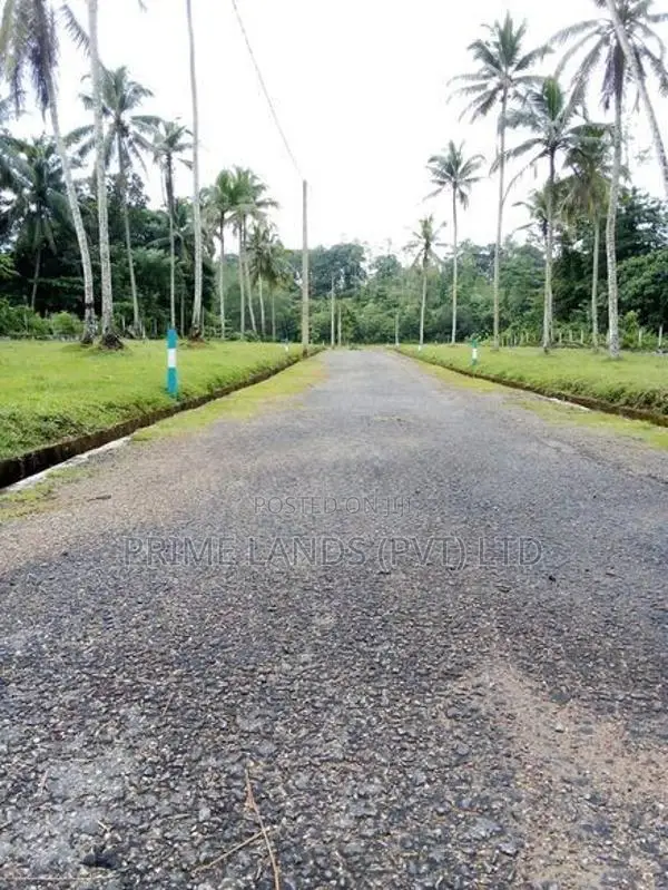 සියළු පහසුකම් සමඟ හොරන තල්ගහවිල පාරට මුහුණලා ඉඩමක්