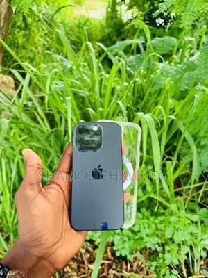 Apple iPhone 15 Pro 256GB (Used)
