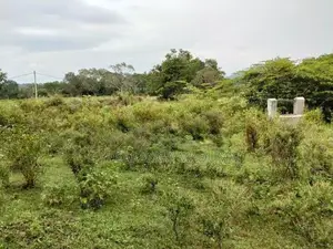 Land for Sale Hambegamuwa
