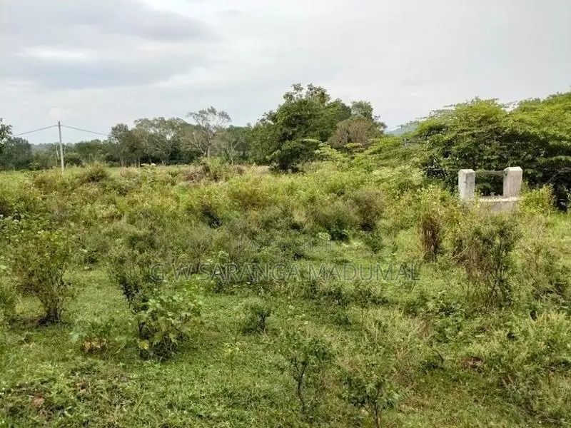 Land for Sale Hambegamuwa